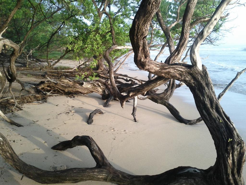 Cabinas Las Olas بلايا أفيينا المظهر الخارجي الصورة
